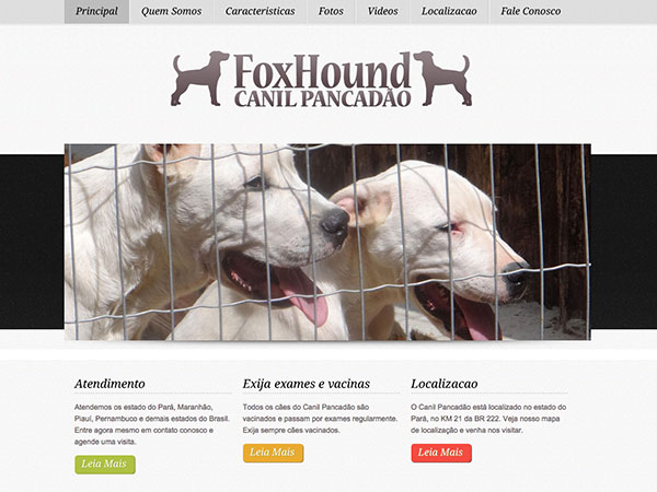 Canil Fox Hound